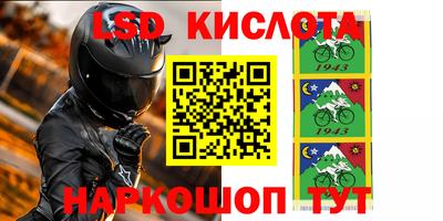стафф Дубна