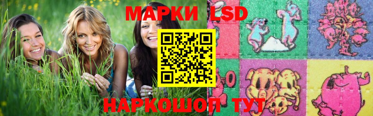 кракен зеркало  Вход с VPN  Мурманск  Лсд 25 экстази кислота 