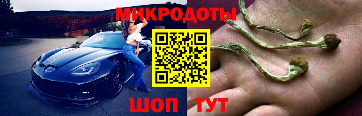 Галлюциногенные грибы Psilocybine cubensis  Псилоцибиновые грибы Psilocybine cubensis  как найти закладки  Мурманск  Вход с VPN 
